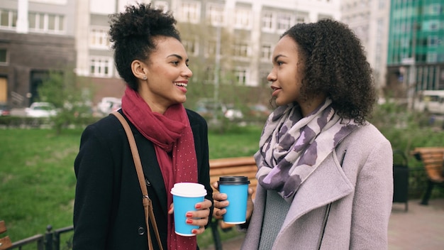 Mandarin Foundations Program